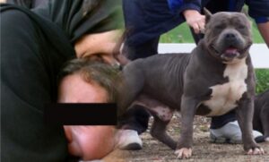 خطير:عصابة تقتل شابا بعدما هاجمته بسيف وكلب بيتبول..