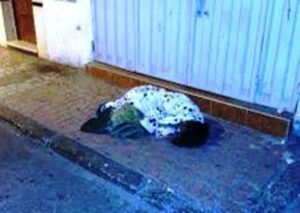 “عائشة” حكاية سيدة تفترش الأرض و تلتحف السماء بقلب مدينة إنزكان.