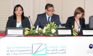 أكادير: المجلس الإداري للوكالة الوطنية لتنمية تربية الأحياء البحرية يصادق على ميزانيتي الاستثمار والتشغيل برسم سنة 2018