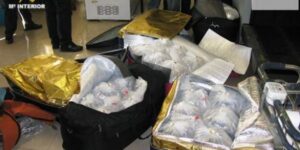 اعتقال مغربي حاول تهريب أكثر من 200000 ثعبان بحري