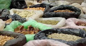 أخنوش يعلن الحرب على العشابة و يهددهم بالسجن