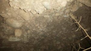 بالصور:اكتشاف بقايا ديناصور نادر بتيزنيت