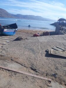 بالصور:الترمل يهدد نقط التفريغ ويثير استياء المهنيين بأكادير