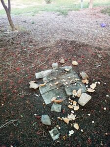 +صور: حديقة بقلب المدار السياحي لأكادير تتحول إلى خراب وسط استياء المواطنين و السياح.