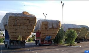 فضيحة تقنية: قنطرة الراجلين الحديثة العهد باشتوكة أيت باها تدشن عملها بمنع شاحنات من العبور تحتها.