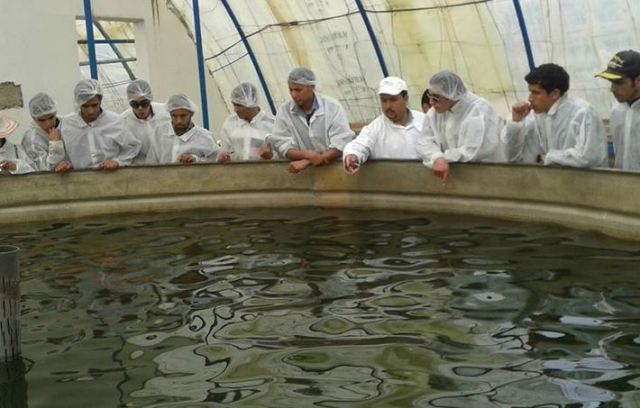 بالتفاصيل:لقاء تواصلي في أكادير يتيح للشباب فرص الاستثمار  في قطاع تربية الأحياء البحرية