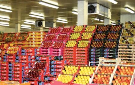 "طروفيل" بأكادير يجمع أوربا بأفريقيا ويتوج المتفوقين