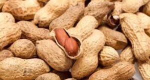 مؤلم:وفاة طفل بطريقة مأساوية بسبب حبة “كاوكاوة”