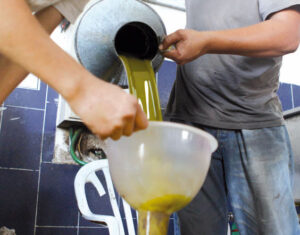 خطير:زيوت مغشوشة ممزوجة بمسكنات ألم الرأس تجر تجارا إلى القضاء