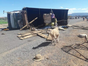 شاحنة محملة بالأغنام تقتل تلميذا وترسل 6 آخرين إلى المستعجلات