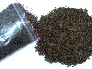 خطير:تحاليل مخبرية تؤكد:شاي مسموم بالأسواق المغربية