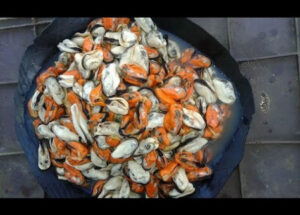 تحذير هام لمواطني أكادير: ممنوع تسويق “بوزروك”…