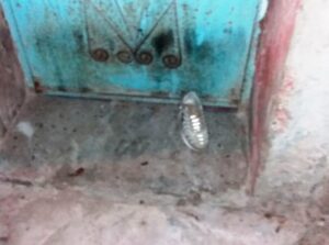 ليلة السيبة “السوداء” بتزنيت، تنتهي بجريمة قتل بشعة بعد التمثيل بجثة الهالك، و تهشيم زجاج عدد من السيارات و أعمال تخريبية أخرى (+صور).