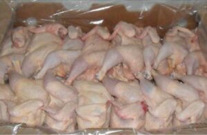 خطير : دجاج فاسد يصيب العشرات بحالة تسمم جماعي في حفل زفاف، ويرسلهم إلى العناية المركزة