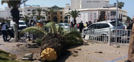 +صور:سيارة مجنونة تقتلع نخلة من مكانها بقلب أكادير، و تتفادى بأعجوبة وقوع كارثة حقيقية