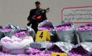 إجهاض محاولة تهريب كمية كبيرة من«القرقوبي» على متن شاحنة للنقل الدولي