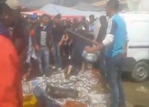 رغم الاعتقالات…مواطنون يتلفون سمك التجار بواسطة الهراوات، والرفس بالأرجل