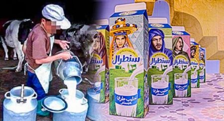 بسبب حملة المقاطعة.. شركة “سنطرال دنوان” تعتزم وقف جمع الحليب من التعاونيات بسبب حملة المقاطعة.. شركة “سنطرال دنوان” تعتزم وقف جمع الحليب من التعاونيات