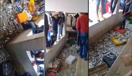 مثير:نائب رئيس جماعة يتسبب في اعتقال 7 نشطاء بتهمة تحريض الساكنة على “مقاطعة” السمك مثير:نائب رئيس جماعة يتسبب في اعتقال 7 نشطاء بتهمة تحريض الساكنة على "مقاطعة" السمك