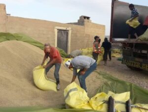 بالصور:الدرك يفكك شبكة تسطو على الحبوب بالميناء  ويحجز 43 طنا من القمح