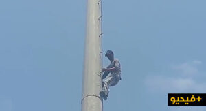 (+فيديو)سبب خلاف مع القائد.. شاب يصعد لأعلى عمود كهربائي ويهدد بالانتحار