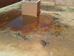 الرعاة الرحل يقتحمون مؤسسة تعليمية بسيدي إفني ويجبرون التلاميذ على ترك مقاعد الدراسة