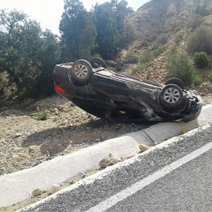 a 44