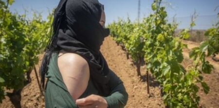 مثير:أرباب ضيعات الفراولة بإسبانيا يصفون العاملات المغربيات بالعاهرات