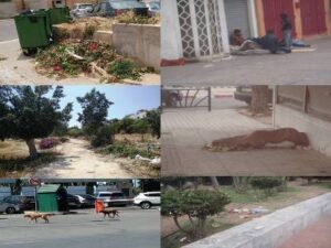 ظواهرمشينة تحدث يوميا تخدش صورة السياحة المغربية بأكَادير.