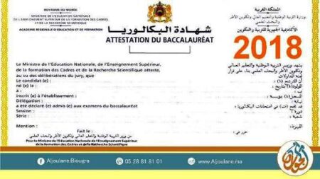 ثانوية الجولان تحتل الرتبة الأولى إقليميا في نتائج بكالوريا 2018 ثانوية الجولان تحتل الرتبة الأولى إقليميا في نتائج بكالوريا 2018