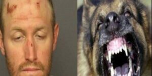 مطاردة مثيرة  تنتهي ب “عض وخنق” سارق جرار ل “كلب بوليسي” في محاولة للفرار من قبضة الشرطة