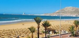 بالصورة:مخلوق بحري غامض يظهر بشواطئ المغرب يثير ذعر المصطافين