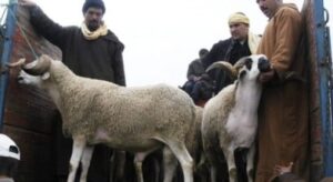 ســـار للموظفين.. الحكومة تصرف رواتب الموظفين قبل موعدها خلال شهر غشت المقبل