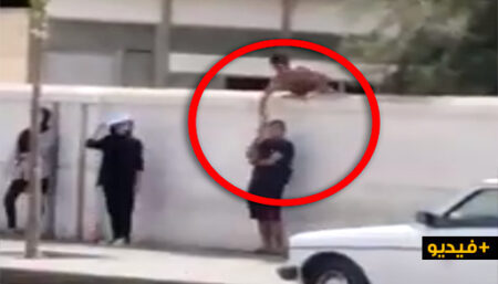 (+فيديو مثير)لصوص يبتكرون طريقة جديدة لسرقة الهواتف المحمولة من فوق الجدران