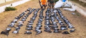 جمعيات القنص بجهة سوس تدق ناقوس الخطر، و مطالب بفتح تحقيق عاجل.