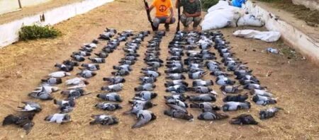 جمعيات القنص بجهة سوس تدق ناقوس الخطر، و مطالب بفتح تحقيق عاجل.