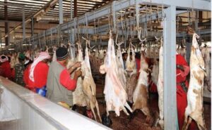 هام:جماعة أكادير تفتح مجزرة البلدية مجانا في وجه المواطنين لذبح أضاحي العيد