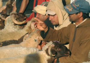 هكذا تسبب “خروف العيد” في جريمة قتل “ماسح الأحذية” لزوجته، قبل أن “يشرمل” ابنيه و شقيقه