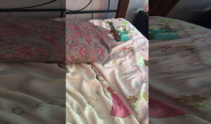 مجهول يقتحم مسكن “قابلة” ويحاول قتلها، ووزارة الصحة تدخل على خط القضية. وهذا ما قررته