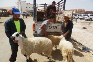 موقع “رحبة الأكباش” الجديد بأكادير، ينشط حركية عصابات متخصصة في اعتراض سبيل المواطنين، ومطالب بتوفير الحماية.