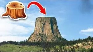 شاهد أضخم 10 أشياء في العالم…