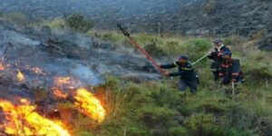 ثلاثة عناصر من مندوبية المياه والغابات يلقون مصرعهم في حادث مأساوي