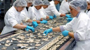 “البوليساريو” تفقد البوصلة و تقاضي شركة فرنسية  بسبب سردين أكادير