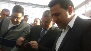 صلاح المتوكل: مهرجان العنب رافعة للتنمية الفلاحية بجماعة الكدية البيضة بتارودانت