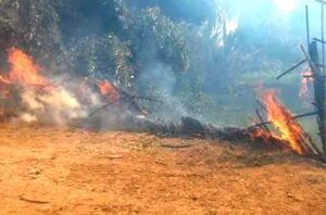 بالفيديو: النيران تلتهم واحة أيت بكو الشهيرة، وحالة استنفار تعقب الحادث: