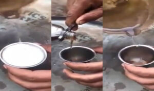 (+فيديو) نشطاء يحذورن من مادة كيمائية تشبه اللبن بعد خلطها بالماء، و “صيكوك” يرسل 7 أشخاص إلى المستعجلات