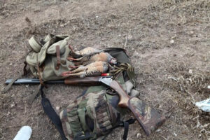 في أول أيام موسم القنص..طلقة نارية اتجاه “حجلة” تنهي حياة صياد بطريقة مروعة