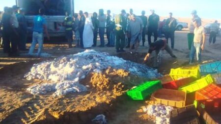 حجز شاحنة كانت في طريقها إلى أكادير محملة بقرابة 500 صندوق من سمك الأخطبوط المهرب