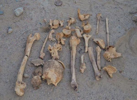عظام بشرية مجهولة الهوية تستنفر الأجهزة الرسمية بعاصمة أيت باعمران.