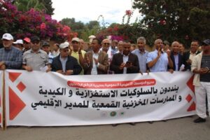 حضور مكثف لمديري جهة سوس ماسة للاحتجاج بتزنيت…